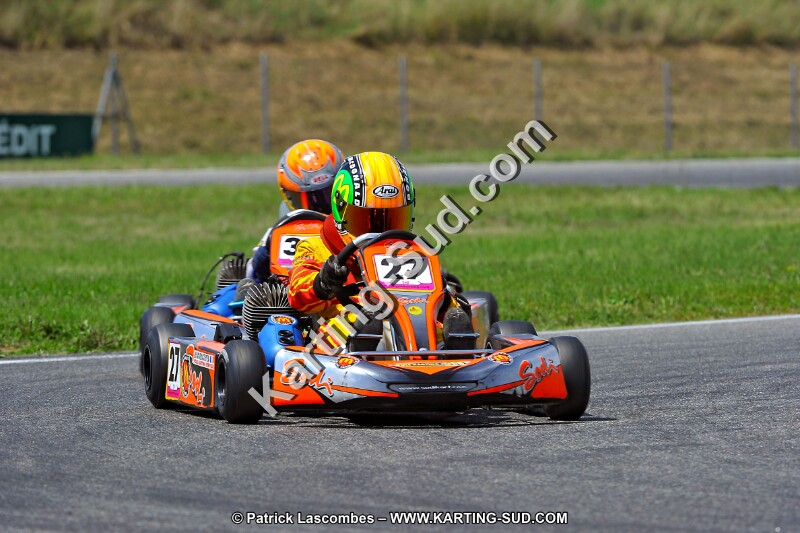 DSC_ (305).jpg